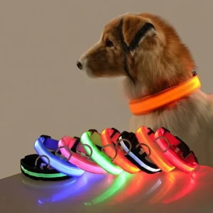 Laisse LED clignotante en nylon pour chien, sécurité nocturne