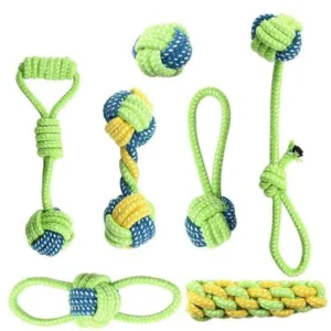Jouets pour chiens, corde en coton interactive, brosse à dents