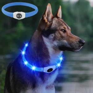 Collier lumineux Led en PVC pour chien