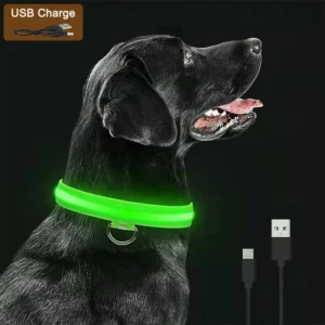 3 Modes chien collier de Charge lumineux Led Usb